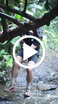 BIB:  <button type="button" onclick="openModal(27238611)" class="btn btn-primary btn-sm float-right" data-toggle="modal" data-target=".modal-high-quality">
                <i class="fa fa-download"></i> Download
                </button>